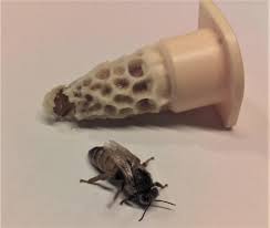 Queen bee